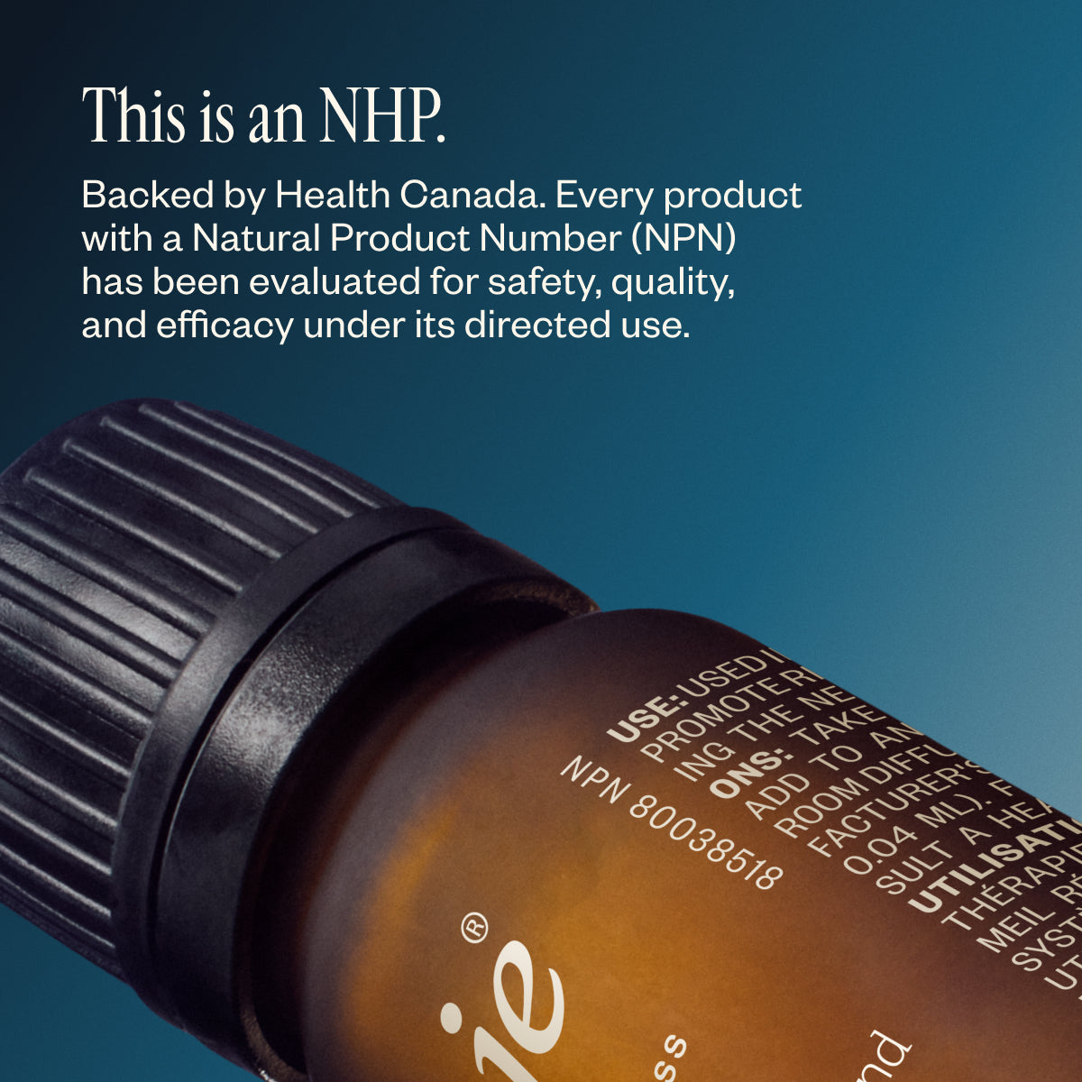 The Full Day Reset