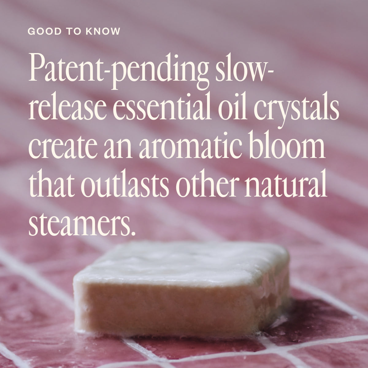 Bloom Bliss