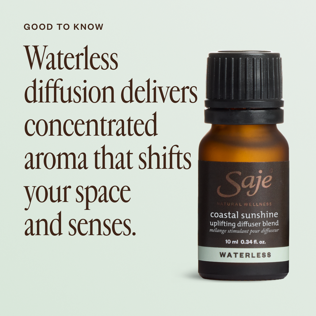 Coastal Sunshine