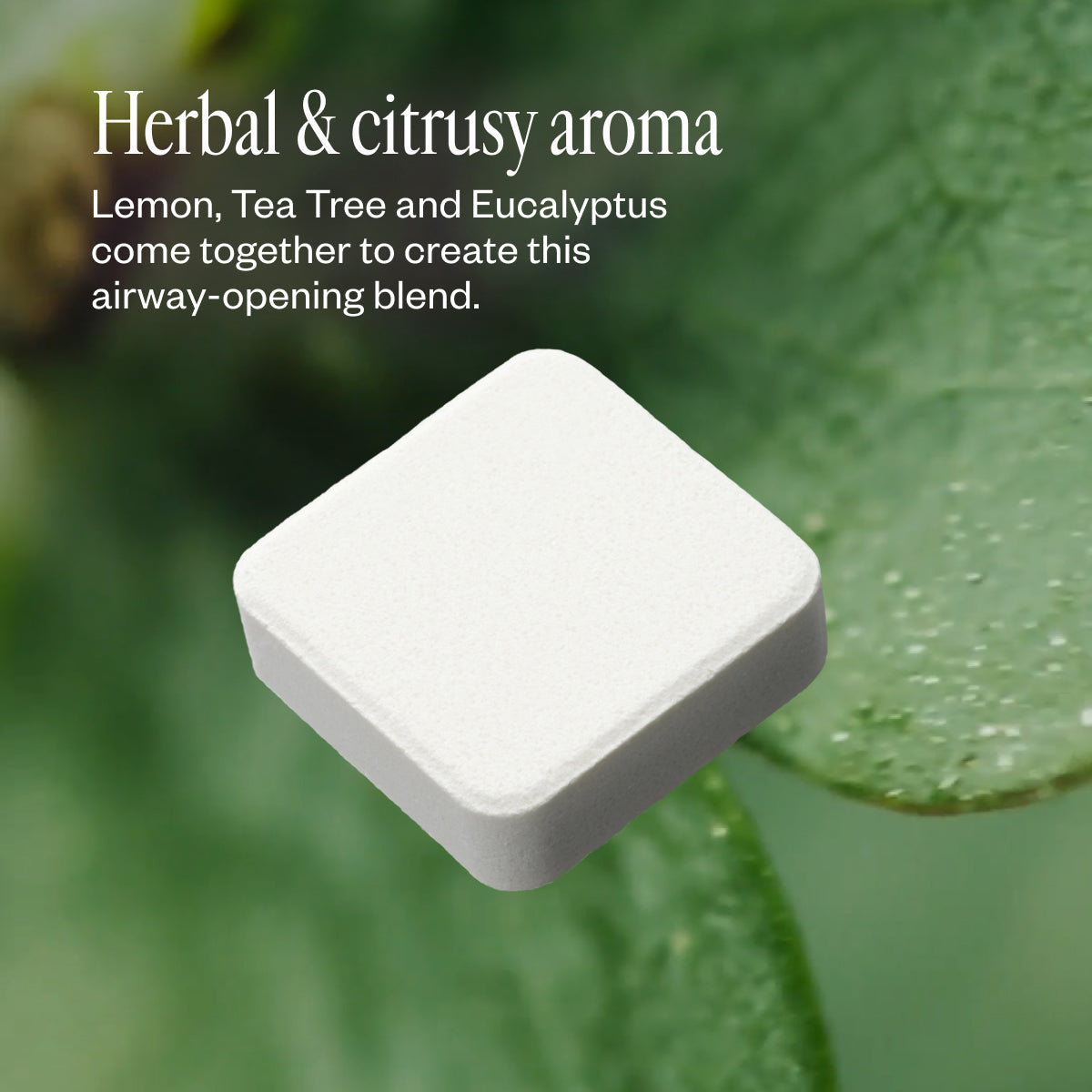 Daily Steam Set